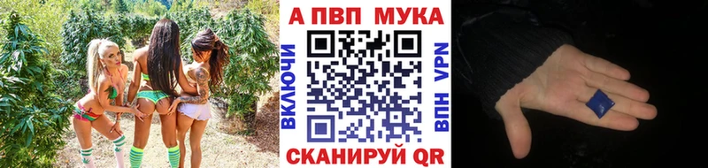 Альфа ПВП крисы CK купить цена shop какой сайт Саянск