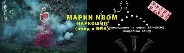 дживик Абинск