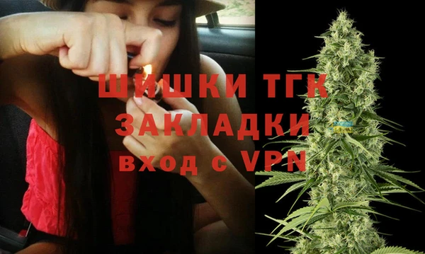 дживик Абинск
