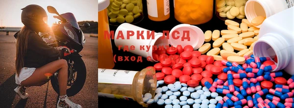 крисы Медвежьегорск