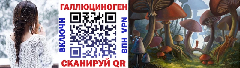Псилоцибиновые грибы Psilocybine cubensis  Саянск 